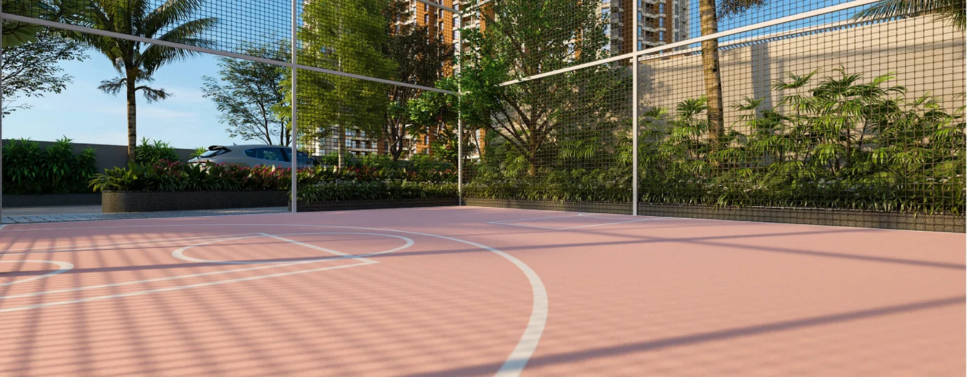 Basketball court